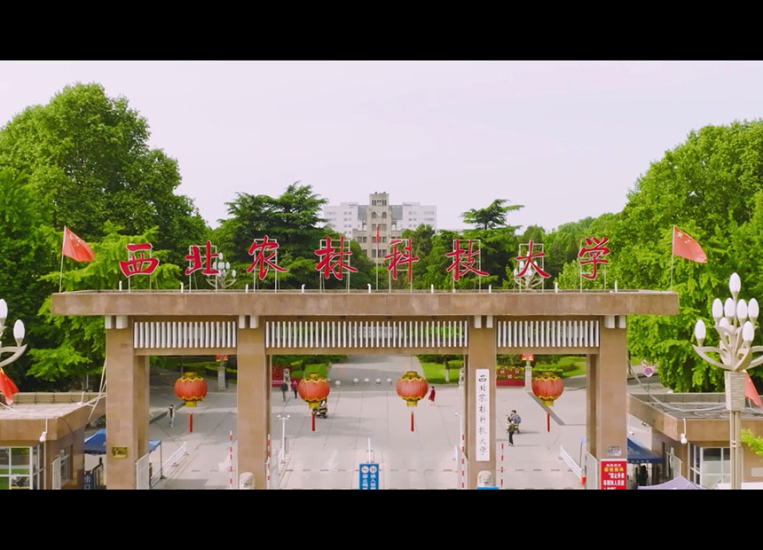 西北农林科技大学智慧校园宣传片